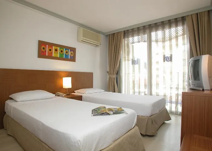 호텔 데바믈리 3*